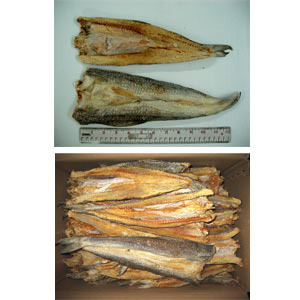 Cobia Dried Fish (PANNA)